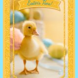 Happy-Go-Ducky Day Easter Card