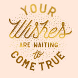 Hallmark Signature Designer Collaboration - Raul Alejandro