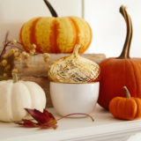 Spiced Harvest Acorn Candle