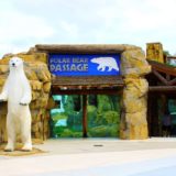 Zoo Polar Bear Exhibit