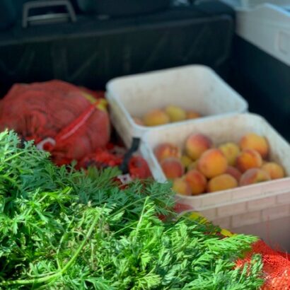 Fresh parsley and peaches for the JFS Produce Dropoff