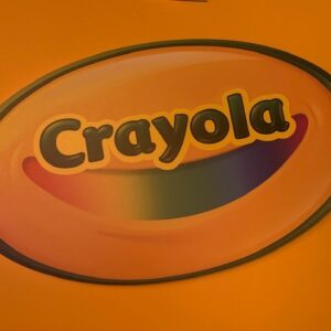 Capital Allocation and the Role of Institutional Investors in Private Equity-Backed Strategy