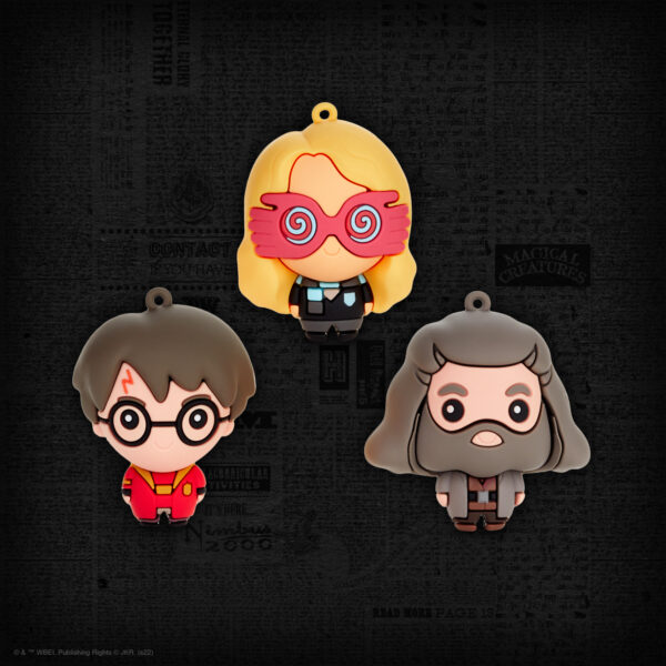 Hallmark Harry Potter Mystery Ornament Line