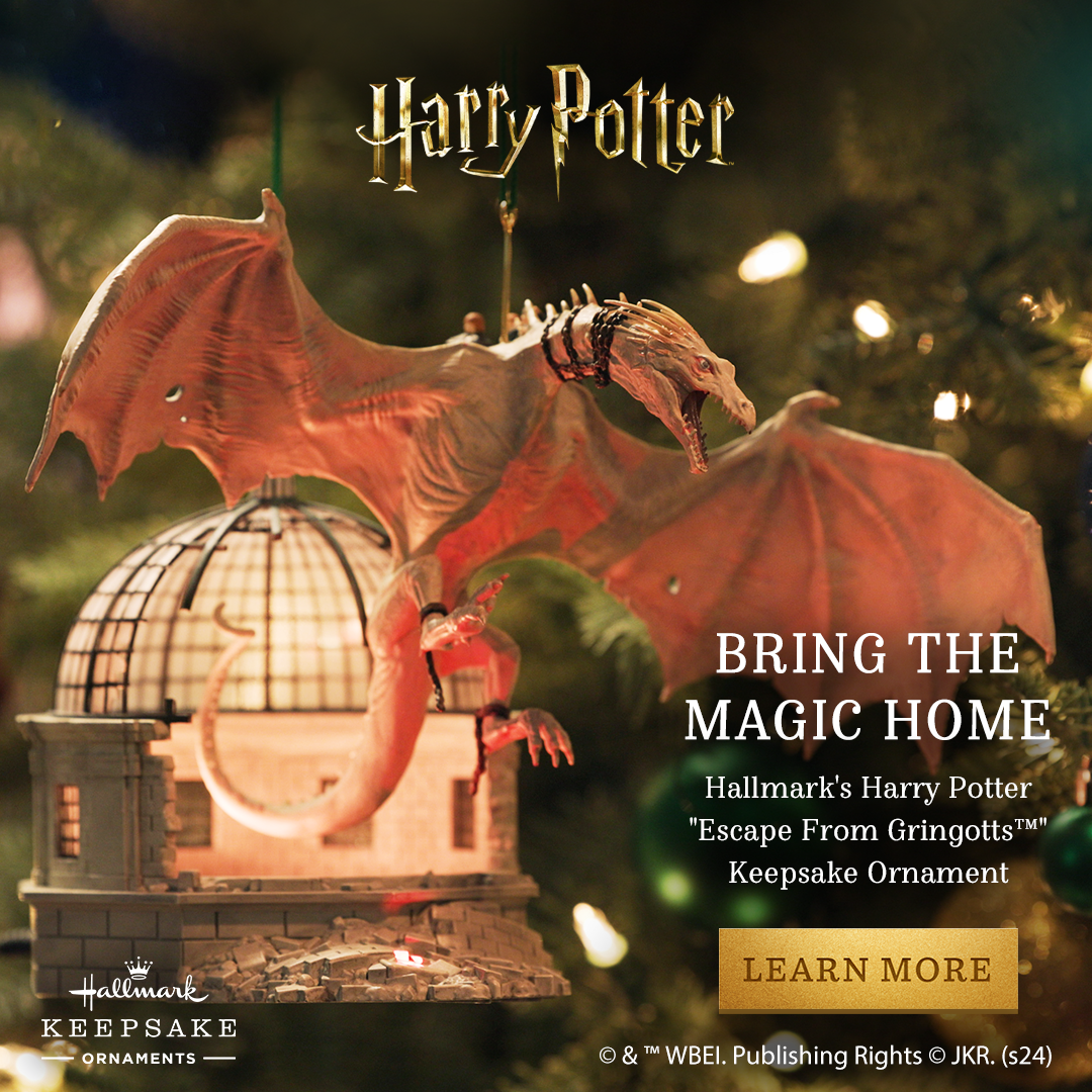 Bring Home the Magic of Harry Potter™️ with this Exclusive