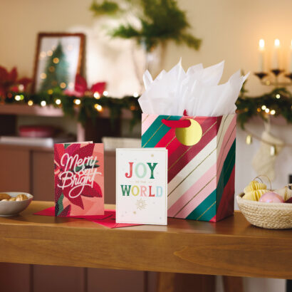Hallmark Gift bag and greeting cards